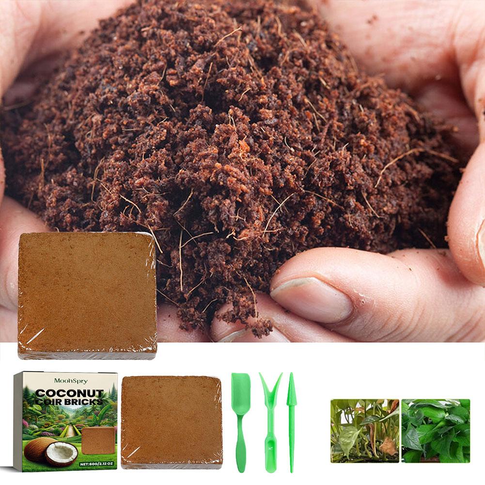 Sphagnum Moss Dry - อิฐใยมะพร้าว - วัสดุปลูกพืชออร์แกนิก ช่วยเพิ่มการระบายอากาศในดินและกักเก็บน้ำ สำหรับการปลูกในสวน