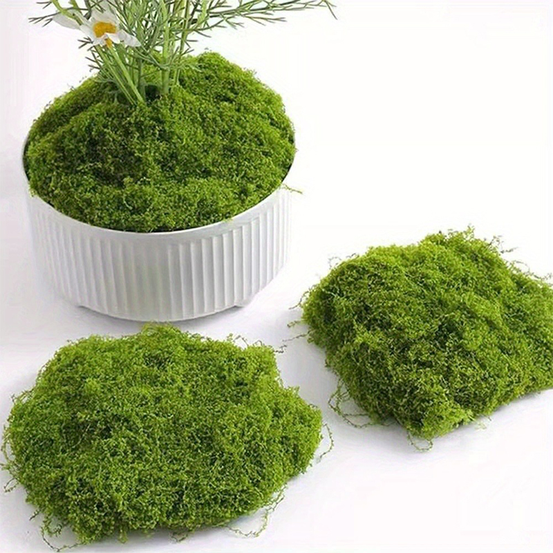 Sphagnum Moss Dry - มอสปลอมสีเขียว สำหรับงาน DIY ตกแต่งสวน ตกแต่งบ้าน ตกแต่งห้อง