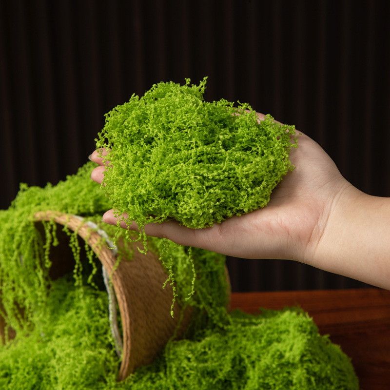 Sphagnum Moss Dry - มอสเทียมสีเขียว มอสประดิษฐ์สำหรับงาน DIY ตกแต่งสวนขนาดเล็ก ตู้ปลา บอนไซ