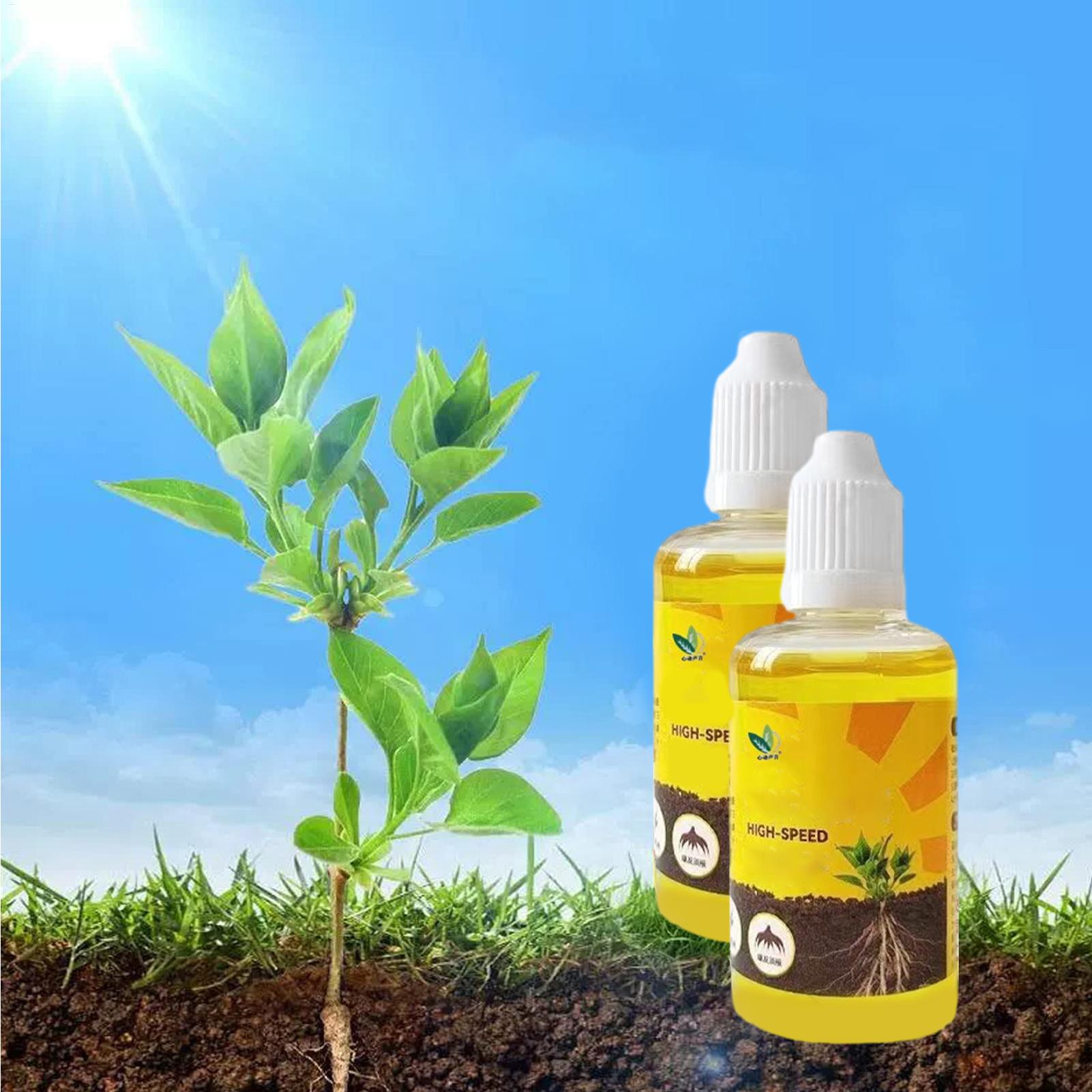 Root Stimulator Liquid - สารบำรุงรากพืชชนิดน้ำ 50 มล. ปุ๋ยเร่งรากสำหรับต้นกล้าพืช สารกระตุ้นการแตกกิ่งและเร่งการเจริญเติบโตของราก