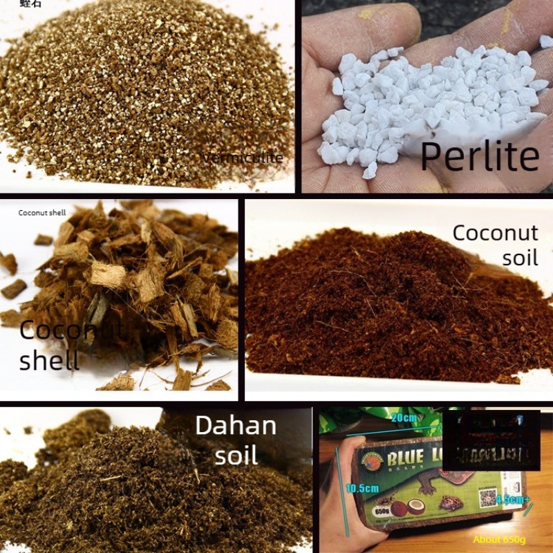 อิฐดินมะพร้าวสำหรับสัตว์เลื้อย - Sphagnum Moss Dry บทวิจารณ์และราคา