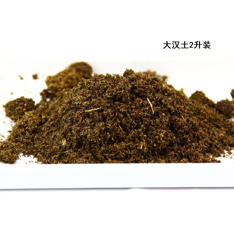 อิฐดินมะพร้าวสำหรับสัตว์เลื้อย - Sphagnum Moss Dry บทวิจารณ์และราคา