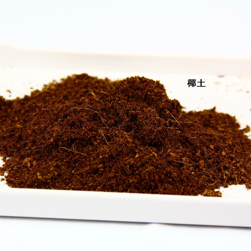 อิฐดินมะพร้าวสำหรับสัตว์เลื้อย - Sphagnum Moss Dry บทวิจารณ์และราคา