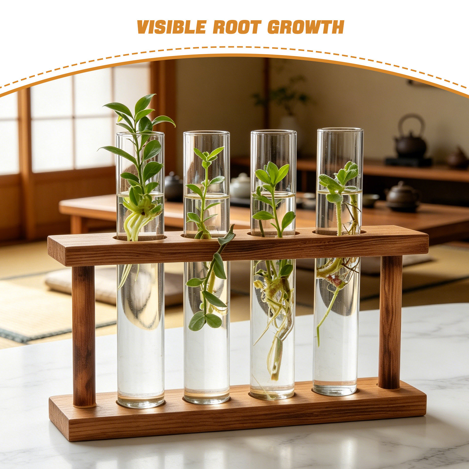 แท่นวางไม้สำหรับขยายพันธุ์พืช  - Propagation Station Vase บทวิจารณ์และราคา