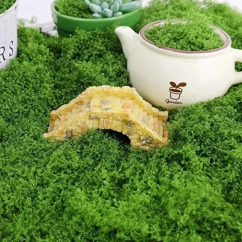 มอสปลอม มอสสีเขียวเทียมสำหรับง - Sphagnum Moss Dry บทวิจารณ์และราคา