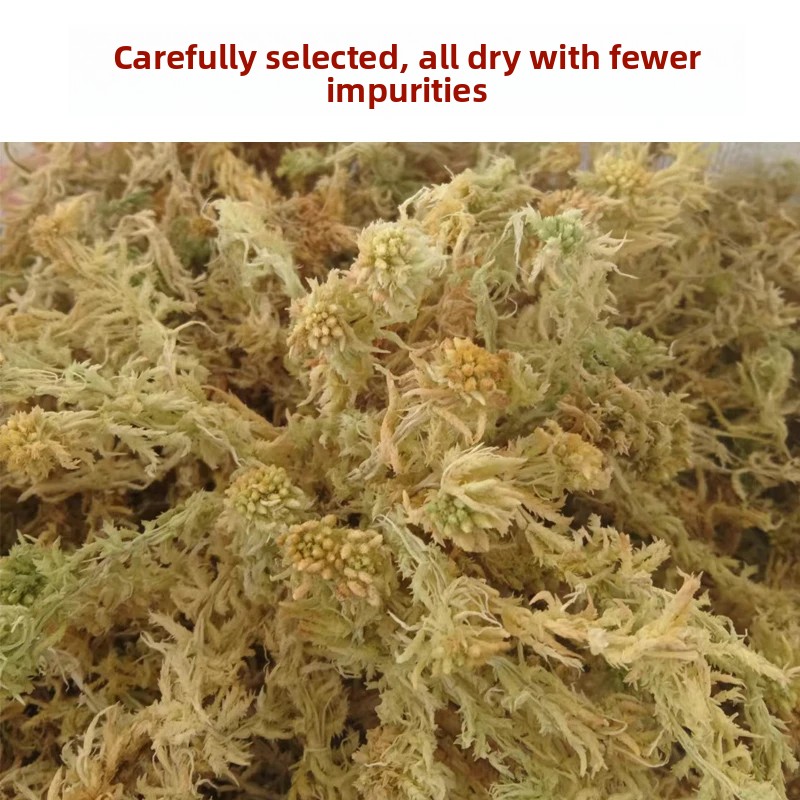 มอสส์สปฟักนัมเกรดเอแบบแห้ง, วั - Sphagnum Moss Dry บทวิจารณ์และราคา