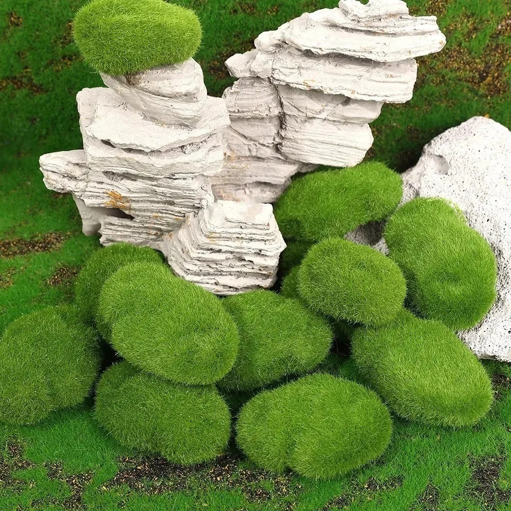 50/5 ชิ้น ลูกบอลมอสเทียม หินมอ - Sphagnum Moss Dry บทวิจารณ์และราคา