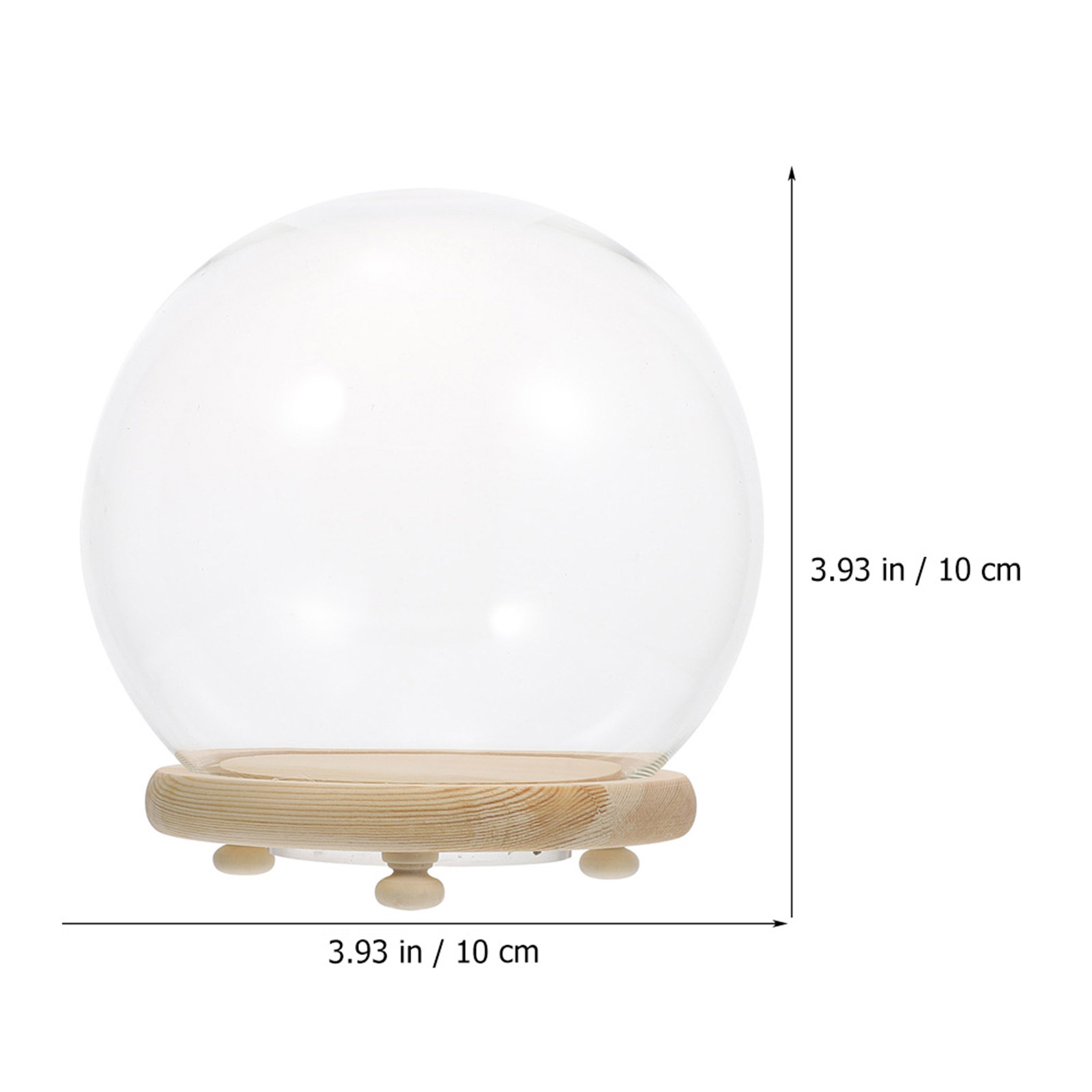 ตู้โชว์ทรงโดมแก้ว สำหรับดอกไม้ - Plastic Dome Clear บทวิจารณ์และราคา