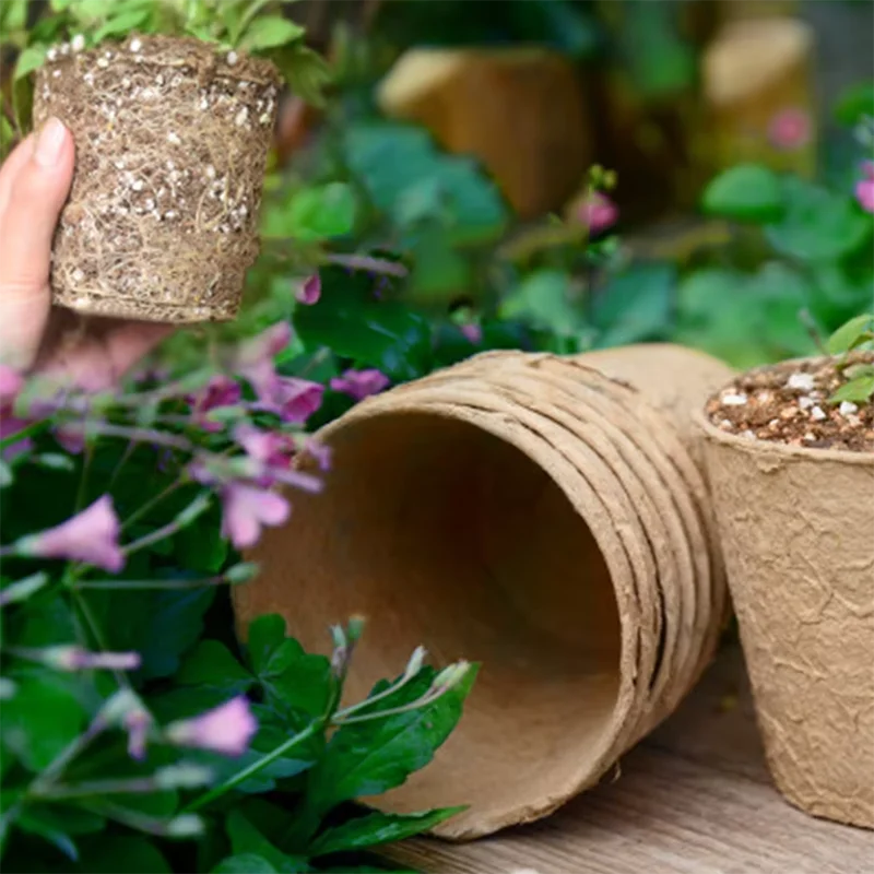 50 ชิ้น กระถางปุยเทียมทรงกลมสำ - Peat Pellet Tray บทวิจารณ์และราคา