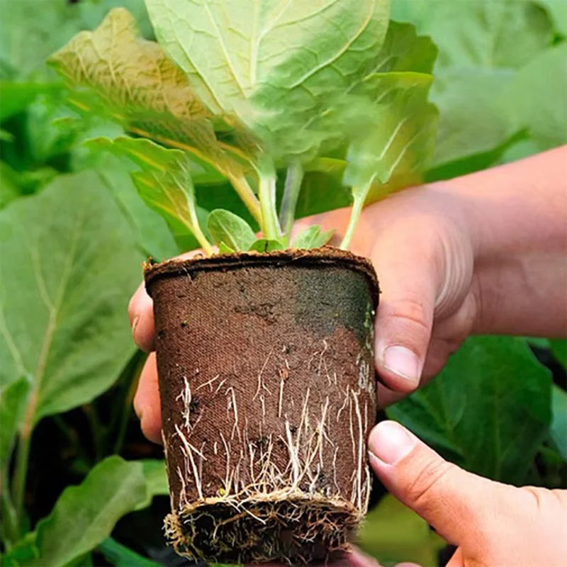 50 ชิ้น กระถางปุยเทียมทรงกลมสำ - Peat Pellet Tray บทวิจารณ์และราคา