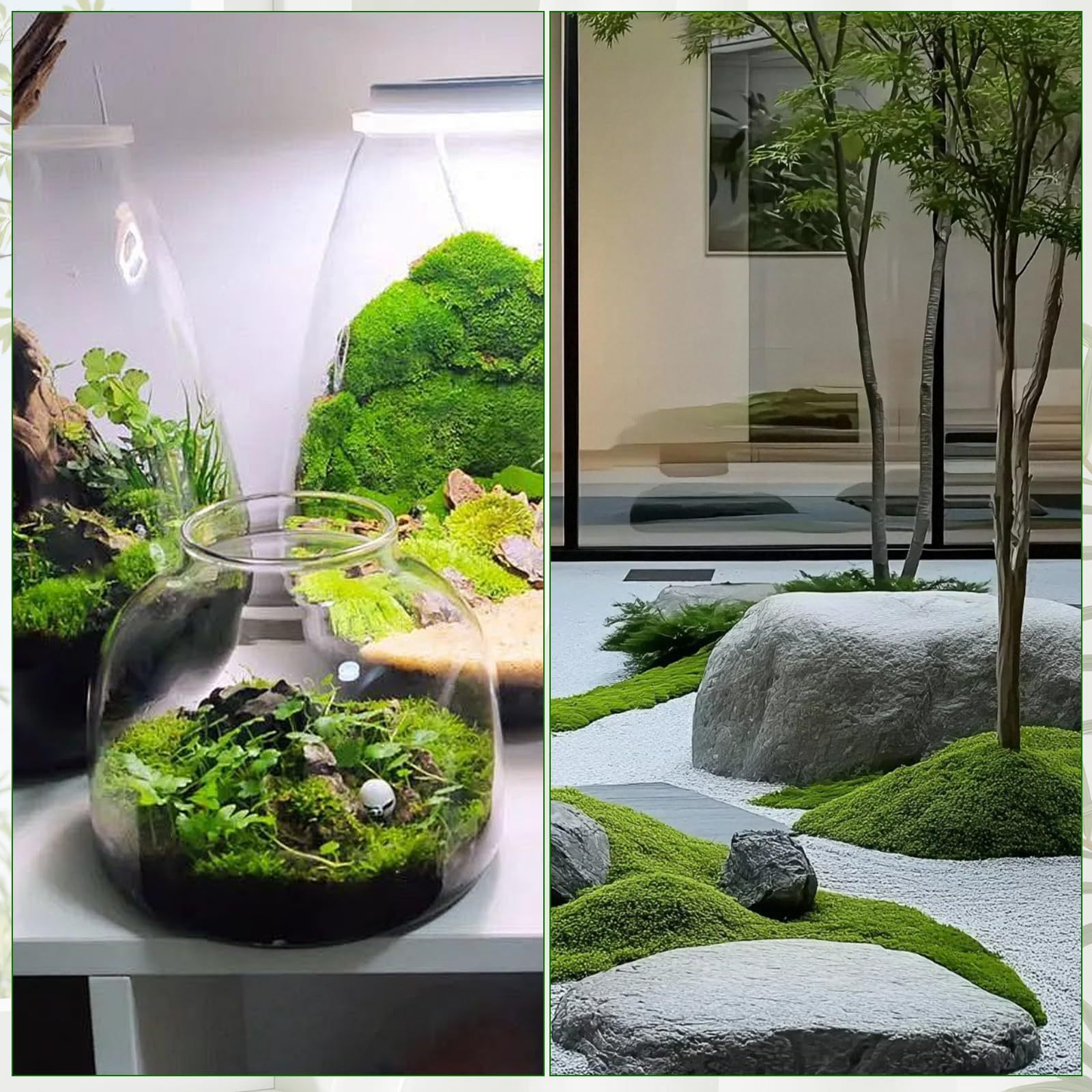 มอสเทียมสีเขียว มอสประดิษฐ์สำห - Sphagnum Moss Dry บทวิจารณ์และราคา