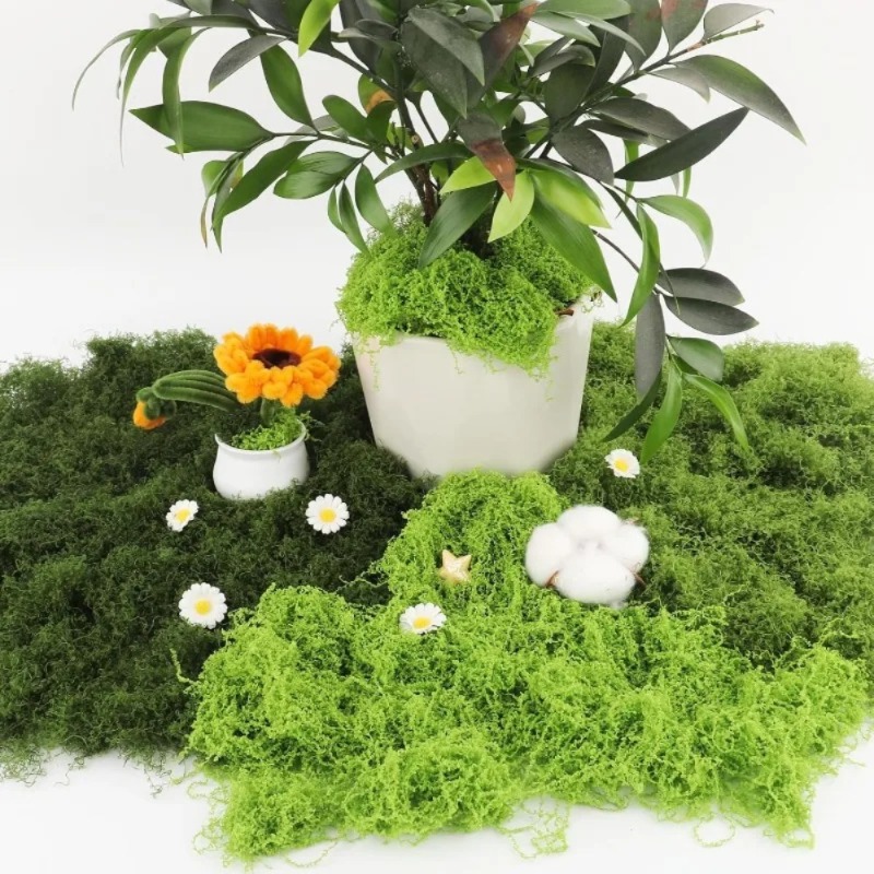 มอสเทียมสีเขียว มอสปลอมสำหรับง - Sphagnum Moss Dry บทวิจารณ์และราคา