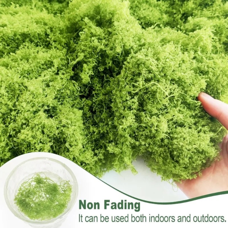 มอสเทียมสีเขียว มอสปลอมสำหรับง - Sphagnum Moss Dry บทวิจารณ์และราคา