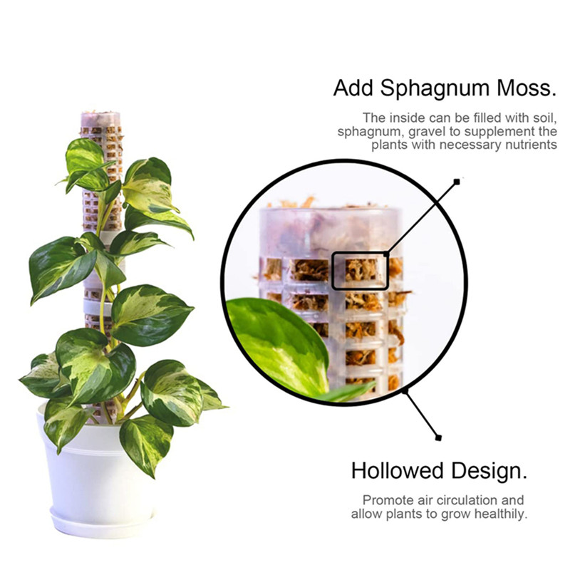 เสาไม้มอสพลาสติก เสาไม้มอสแบบซ - Sphagnum Moss Dry บทวิจารณ์และราคา