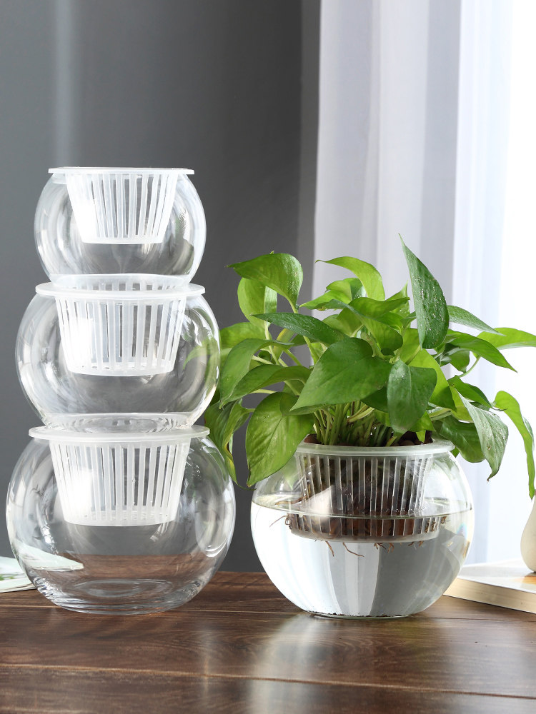 แจกันแก้วไฮโดรโปนิกส์ แจกันแก้ - Propagation Station Vase บทวิจารณ์และราคา