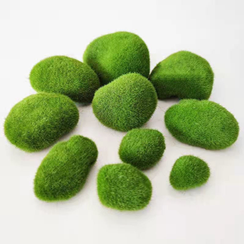 5 ชิ้น 3-12 ซม. ตะไคร่น้ำเทียม - Sphagnum Moss Dry บทวิจารณ์และราคา