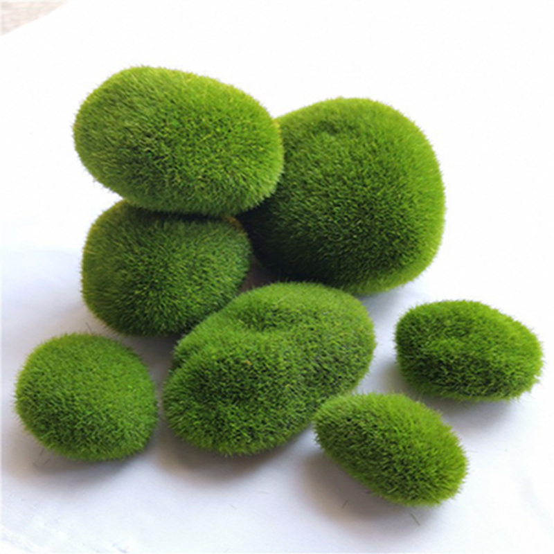 5 ชิ้น 3-12 ซม. ตะไคร่น้ำเทียม - Sphagnum Moss Dry บทวิจารณ์และราคา